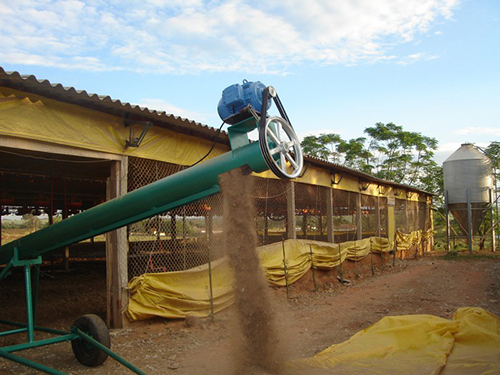 Rosca transportadora (chupim)